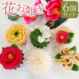 【ふるさと納税】花おはぎ 6個セット 6種 各1個 1個約45～50g こし餡&ビーツ（赤椿）・抹茶・やまえ栗・鳴門金時・柚子・温州みかん ぼたもち 牡丹餅 あんこ 餡子 もち米 うるち米 スイーツ 和菓子 お菓子 デザート おやつ 冷凍 熊本県産 国産 熊本県 人吉市 送料無料
