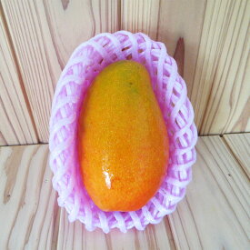 【ふるさと納税】人吉市産 マンゴー 2～3玉（約1.5kg） アップルマンゴー キーツマンゴー まんごー ビニールハウス栽培 フルーツ 果物 果実 くだもの 熊本県産 国産 九州 熊本県 人吉市 送料無料 【2026年7月上旬～8月上旬発送予定】