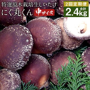 yӂ邳Ɣ[Łzystzy2zI؍͔| ɂۂ TCY 1.2kg×2񂨓͂ v2.4kg ő  ̂ F{lgY B ① y2025N11E2026