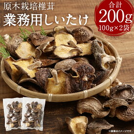 【ふるさと納税】訳あり 原木栽培椎茸 業務用しいたけ 合計200g 100g×2袋 ご家庭用 生椎茸 しいたけ きのこ 熊本県人吉産 九州 冷蔵 送料無料