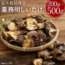 【ふるさと納税】訳あり 原木栽培椎茸 業務用 椎茸 200g/500g 選べる内容量 8000円 〜 15000円 8千円 〜 1万5000円 しいたけ 干し椎茸 干ししいたけ 乾椎茸 きのこ ご家庭用 熊本県人吉産 九州 送料無料