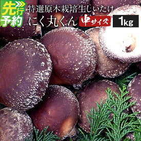 【ふるさと納税】【先行受付】特選原木栽培生しいたけ にく丸くん 中サイズ 30～50枚 4～6cm程度 1.0kg 生椎茸 しいたけ きのこ 熊本県人吉産 九州 冷蔵 送料無料【2026年10月下旬～2027年2月上旬順次発送予定】