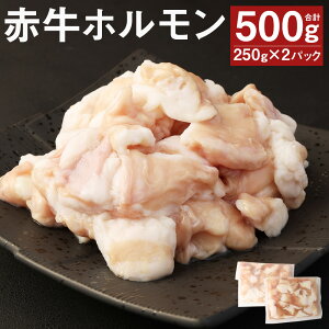 yӂ邳Ɣ[Łzԋ z v500g 250g×2pbN z  z  F{Y BY Y Ⓚ 