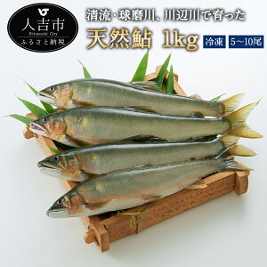 yӂ邳Ɣ[ŁzVR Ⓚ 1kg 5`10 A    BY F{Y lgY 