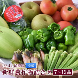 【ふるさと納税】ひとよし球磨産 新鮮農作物詰め合わせ 7〜12品 野菜 きのこ 詰め合わせ セット 熊本県産 九州産 野菜 冷蔵 送料無料【2027年3月上旬～下旬に順次発送予定】
