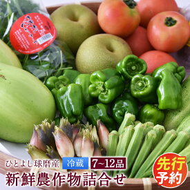 【ふるさと納税】ひとよし球磨産 新鮮農作物詰め合わせ 7〜12品 野菜 きのこ 詰め合わせ セット 熊本県産 九州産 野菜 冷蔵 送料無料【2027年3月上旬～下旬に順次発送予定】