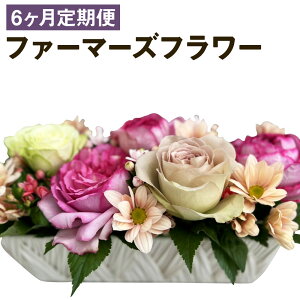 yӂ邳Ɣ[Łzy6ցzt@[}[Yt[ by the Bouquet KUMAMOTO 6񂨓͂ 35×35×35cm ނ܂ _  t[AWg   t[ CeA 蕨 