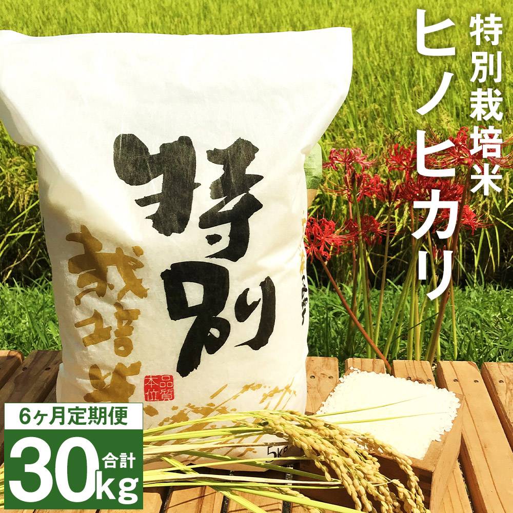 正規通販】 【ふるさと納税】【6ヶ月定期便】特別栽培米 ヒノヒカリ