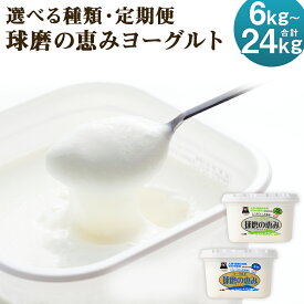 【ふるさと納税】【選べる定期便】球磨の恵み ヨーグルト 加糖/砂糖不使用 2kg/3kg/4kg 3ヶ月/6ヶ月 17000円 〜 67000円 1万7000円 〜 6万7000円 選べる種類 選べる内容量 定期便 無糖 人吉球磨産 乳製品 送料無料