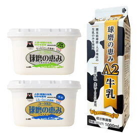 【ふるさと納税】＜選べる加糖・無糖＞球磨の恵み「A2牛乳とヨーグルト」のセット 各2パック 牛乳（1パック1000ml） ヨーグルト（1パック1kg） 加糖・無糖 生乳 カゼイ菌 乳飲料 乳性飲料 飲料 朝食 健康 腸活 冷蔵 熊本県産 国産 九州 熊本県 人吉市 送料無料