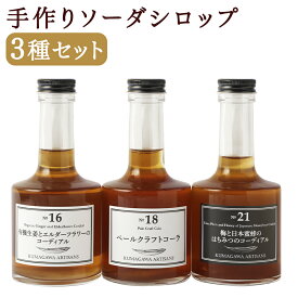 【ふるさと納税】手軽にcafe気分 手作りソーダシロップ3種セット 3種類 セット クラフトコーラ コーラシロップ ジンジャーシロップ コーディアル 調味料 シロップ 人吉市 送料無料