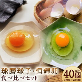 【ふるさと納税】球磨球子・恒輝卵 食べ比べセット 合計40個 2種類×各20個 MS～LL混合 破損保証有り 九州産 熊本県産 人吉 鶏卵 卵 卵焼き たまご 濃厚 送料無料