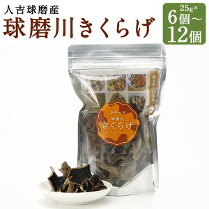 yӂ邳Ɣ[ŁzlgŶՂƋ삫炰 25g 6/12 Iׂe ؎ ̂ 炰 炰炰  F{Y BY Y  yVX[p[SALE 9J