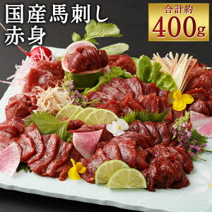 yӂ邳Ɣ[ŁzY nh Ԑg 400g ^t Ԑg ubN nh n hg  ܂ Ⓚ 
