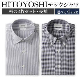 【ふるさと納税】HITOYOSHIテックシャツ長袖 柄の2枚セット セミワイド ボタンダウン 各1枚 紳士用 選べるサイズ M/L/LL/3L ポリエステル100% 日本製 長袖シャツ 無地 ドレスシャツ メンズ 男性 ファッション 熊本県 人吉市 送料無料