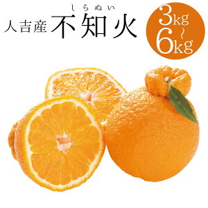 yӂ邳Ɣ[ŁzlgY sm ʂ 3kg/6kg Iׂe k F{ ʕ t[c  y2026N1{`2{ɏ\z yVX[p[SALE 9J