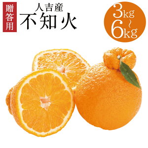 yӂ邳Ɣ[Łzp lgY sm ʂ 3kg/6kg Iׂe k F{ ʕ t[c N Mtg 蕨 yߐ؂1213܂Łzy2025N12{菇
