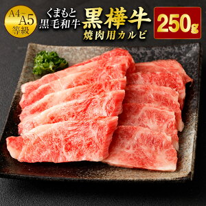 yӂ邳Ɣ[Łz܂ƍјa  A4`A5 ēpJr 250g Ă BBQ ~ Ԑg  a   јa Y BY F{Y Ⓚ 