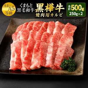 yӂ邳Ɣ[Łz܂ƍјa  A4`A5 ēpJr 250g×2pbN v500g Ă BBQ ~ Ԑg  a ͂Ȃイ   јa Y BY F{Y Ⓚ 