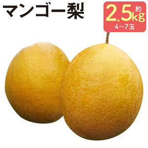 yӂ邳Ɣ[ŁzH i }S[ j 2.5kg 4`7 Ȃ t[c ʕ SY F{Y BY lgs y2025N10{12{\z yVX[p[SALE 9J