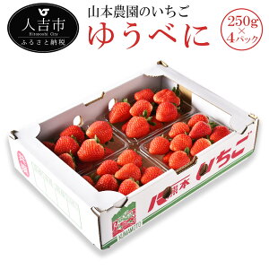 yӂ邳Ɣ[ŁzR{_̂ 䂤ׂ 250g×4pbN  C`S Y BY F{Y ʕ t[c y2025N11{菇\z yVX[p[SALE 9J