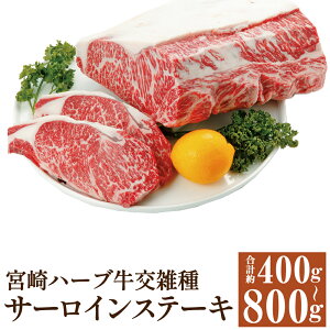 yӂ邳Ɣ[Łz{n[uG T[CXe[L v400g/v800g Iׂe 1200g T[C Xe[L Y  Ⓚ 