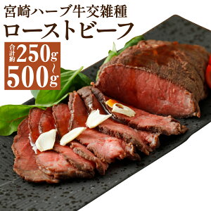 yӂ邳Ɣ[Łz{n[uG [Xgr[t 250g/500g Iׂe 1{250g [Xg r[t Y  Ⓚ  yVX[p[SALE 9J