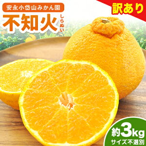 �y�ӂ邳�Ɣ[�Łz �s�m�� �󂠂� �z�~�ł������ (�s�m��) �T�C�Y�s�I�� ��3kg ����ʂ� �݂��� �~�J�� ���� �s2026�N2�����{-3�����{���o�ׁt�F�{�� �r���s �f�R�|�� �Ɠ��i�� ���k �t���[�c 