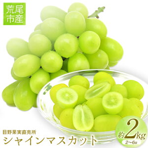 yӂ邳Ɣ[Łzys\z VC}XJbg Iׂ  600g ` 700g  1kg  2kg ږʎs8{-9{oׁt}XJbg F{ rsY t[c ʕ VN