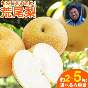 yӂ邳Ɣ[Łz  s\  r  2 ~ 2.5 kg (5~10)  4.5 ~ 5kg (6`18ʑO) a Ȃ H { F{ rsY Ȃ t[c ʕ VN ږʎs7{-10{oׁt 