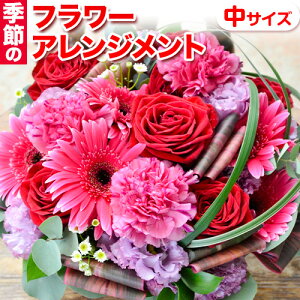 yӂ邳Ɣ[Łz t[AWg  G߂̃t[AWg t[Xg  Iׂ TCY TCY CeA rs   Mtg t[ AWg 