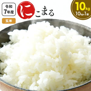 yӂ邳Ɣ[Łzߘa7NY  ɂ܂ 10kg (10kg×1)  R  ܂  _s10{-11{oׁt F{ rs    