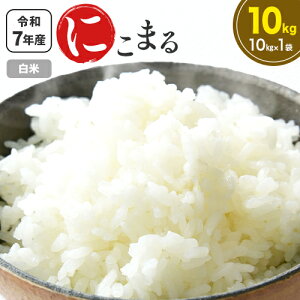 yӂ邳Ɣ[Łzߘa7NY  ɂ܂ 10kg (10kg×1)  R  ܂  _s10{-11{oׁt F{ rs    