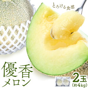 yӂ邳Ɣ[Łzy2026Ns\z D 2kg × 2 p p Mtg t[c s2026N4{-5{oׁt_ F{ rs 󏭃 ʕ F{Y