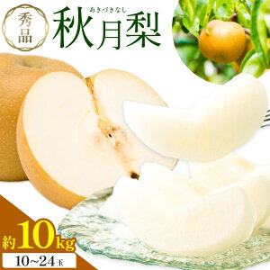 yӂ邳Ɣ[Łz Gi H Iׂe 1.8kg 5kg 10kg {t[cs8{-9oׁtF{ rs Ȃ  ʕ t[c fU[g Mtg 