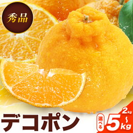 【ふるさと納税】デコポン 選べる 内容量 約2kg～約5kg 日本フルーツ株式会社 熊本県 荒尾市 《1月下旬-2月末頃出荷予定》 デコポン 果物 秀品 フルーツ スイーツ デザート ギフト ご贈答