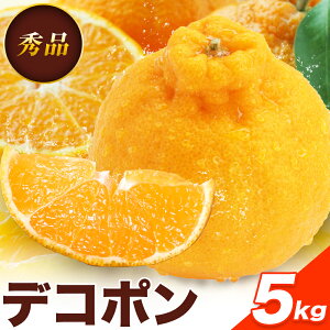 yӂ邳Ɣ[ŁzfR| Iׂ e 2kg`5kg {t[c F{ rs s1{-2oח\t fR| ʕ Gi t[c XC[c fU[g Mtg 