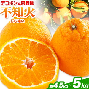 yӂ邳Ɣ[Łz sm 3kg ܂ 4.5kg`5kg s2{-4{oׁtF{Y (rsY܂) k t[c tbVt[Y sm ʕ fR| Ɠi  ʕ 