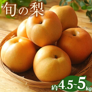 yӂ邳Ɣ[Łz  ys\z {̗ i K L Â Ñ V ӎOg ̂ꂩj a  2kg  4.5kg ` 5kg Ȃ t[c ʕ VN N[ Iׂ tbVt