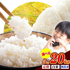 【ふるさと納税】 無洗米 も選べる 熊本県産 くまもとあっぱれ米 5kg 10kg 15kg 20kg 定期便 も選べる 熊本県産 ふるさと納税 無洗米 白米 精米 米 こめ ふるさとのうぜい コメ お米 おこめ《出荷