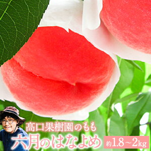 yӂ邳Ɣ[Łz y2026N s\ z Ẑ͂Ȃ 1.8`2kg   { t[c ʕ F{rsY  ʎ ytwszs2026N6{-6{oׁtZ̉ԉ