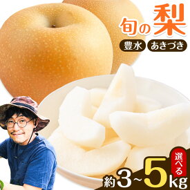 【ふるさと納税】【2026年 先行予約】梨 旬の梨 あきづき 豊水 のいずれか 荒尾梨 和梨 3kg (4-8玉前後) または 5kg (6-14玉前後) 高口果樹園《2026年9月上旬-9月下旬頃出荷》熊本県 荒尾市 豊水 あきづき 熊本県産 梨 なし 果物 くだもの 秋 旬