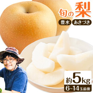 yӂ邳Ɣ[Łzy2026N s\z {̗ Â L ̂ꂩ r a 3kg (4-8ʑO) ܂ 5kg (6-14ʑO) ʎs2026N9{-9{oׁtF{ rs L 