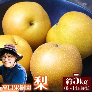 yӂ邳Ɣ[Łzy2025N s\ z  {̗ Â L ̂ꂩ  5kg (6`14ʑO) H { F{ rsY ʎs2025N9{-9{oׁtt[c ʕ  a