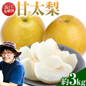 �y�ӂ邳�Ɣ[�Łz�y2026�N��s�\��z �� �Ñ��� �� 3kg �H �{ �F�{�� �r���s�Y �����ʎ����s2026�N9�����{-10����{���o�ׁt�t���[�c �ʕ� �������� �a�� �Ȃ� ������ ��3kg �Y�n����