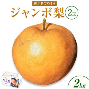 yӂ邳Ɣ[Łzy2025Ns\z  Ȃ p rW{iVj2ʓ Iׂ TCY 1.5kg 1.7kg 2kg H { F{ rsY ʎs2025N10{-10{oׁtt