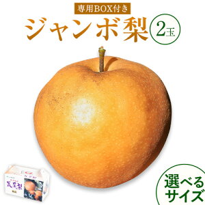 yӂ邳Ɣ[Łzy2026Ns\z  p rW{iVj2ʓ Iׂ TCY 1.5kgO 1.8kgO H { V F{ rsY ʎs2026N10{-10{oׁtt