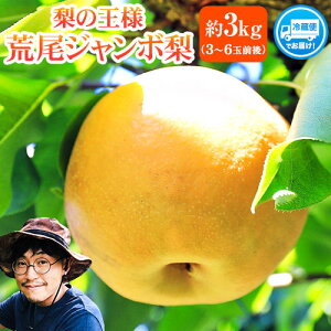 yӂ邳Ɣ[Łz y2026N s\ z V W{ ( V )  3kg (3`6ʑO) Ȃ r ɂ t[c ʕ fU[g { F{rsY ʎs2026N10{-11