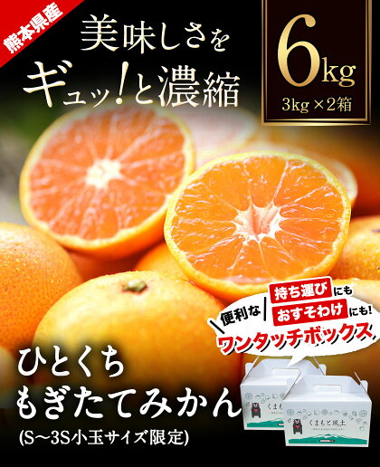 アイテムID:667916の画像2枚目