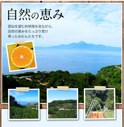 【ふるさと納税】熊本県産大粒熊本みかんたっぷり10kg(3L-Lサイズ)フルーツ秋旬熊本県荒尾市柑橘大玉みかんちょこっと訳あり《7-14営業日以内に順次出荷(土日祝除く)》